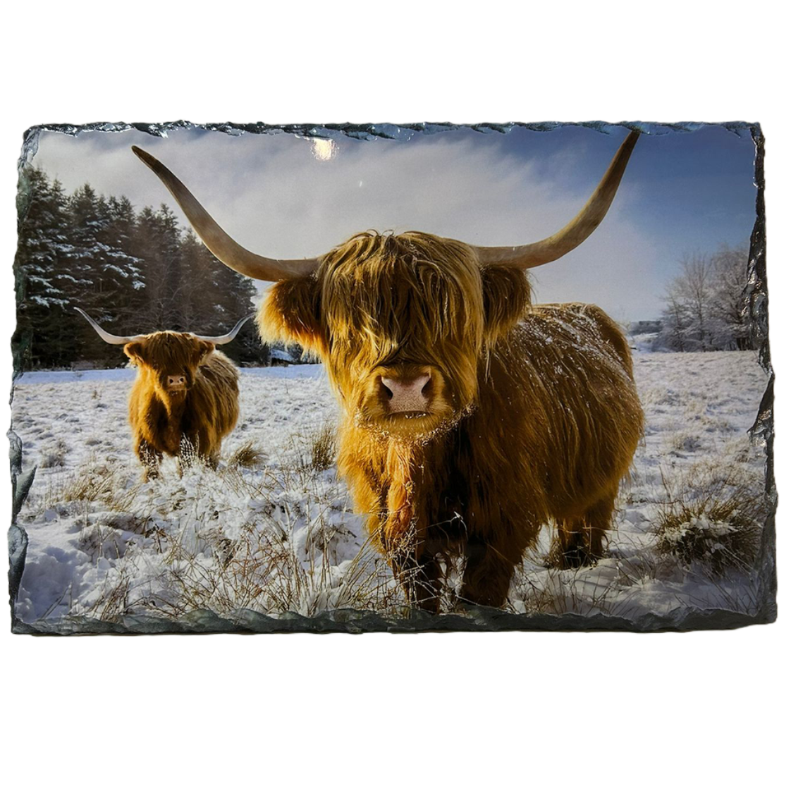 Slate Tablemat Highland Cow & Stag Individual Table Placemat – Scottish Heather & Winter Designs