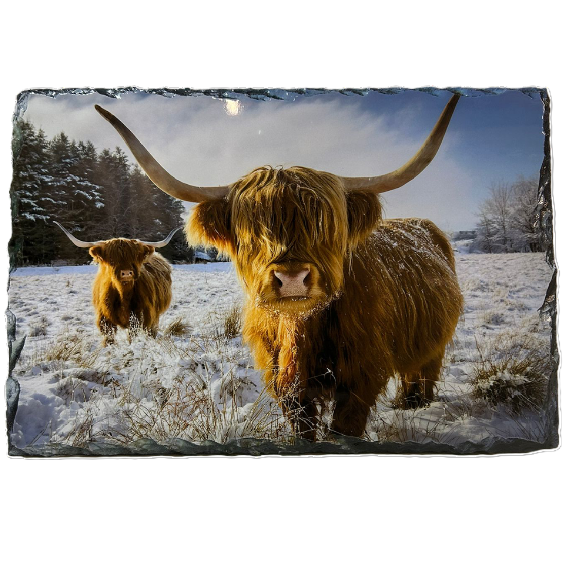 Slate Tableware Set Highland Cow With A Winter Scene – Handcrafted Scottish Home & Dining Decor