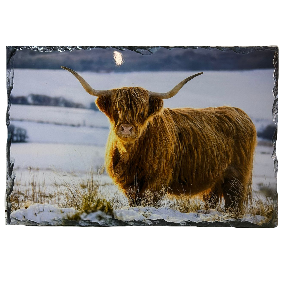 Slate Tablemat Highland Cow & Stag Individual Table Placemat – Scottish Heather & Winter Designs