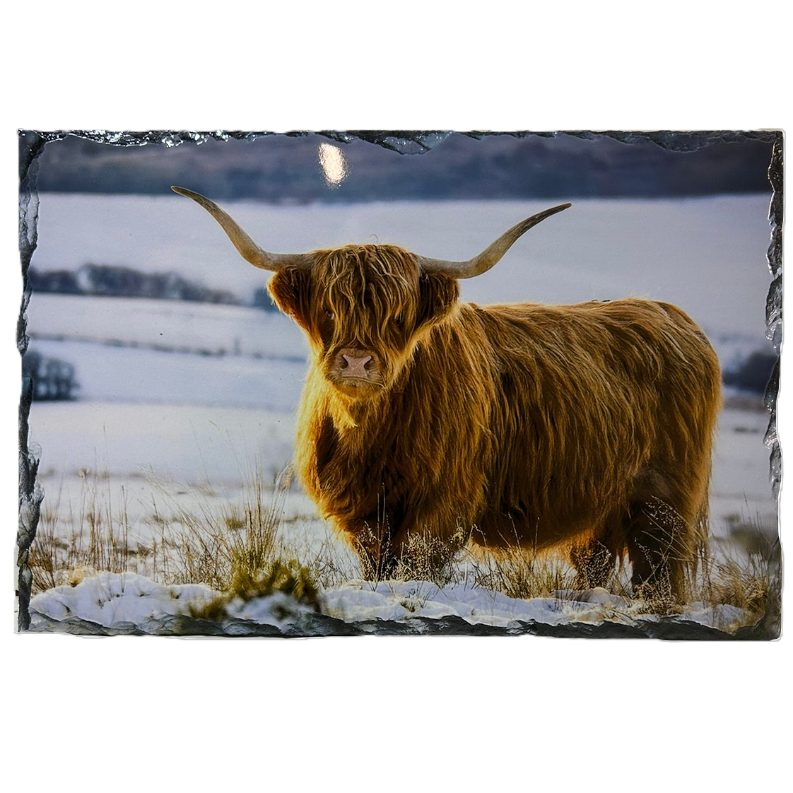 Slate Tableware Set Highland Cow With A Winter Scene – Handcrafted Scottish Home & Dining Decor