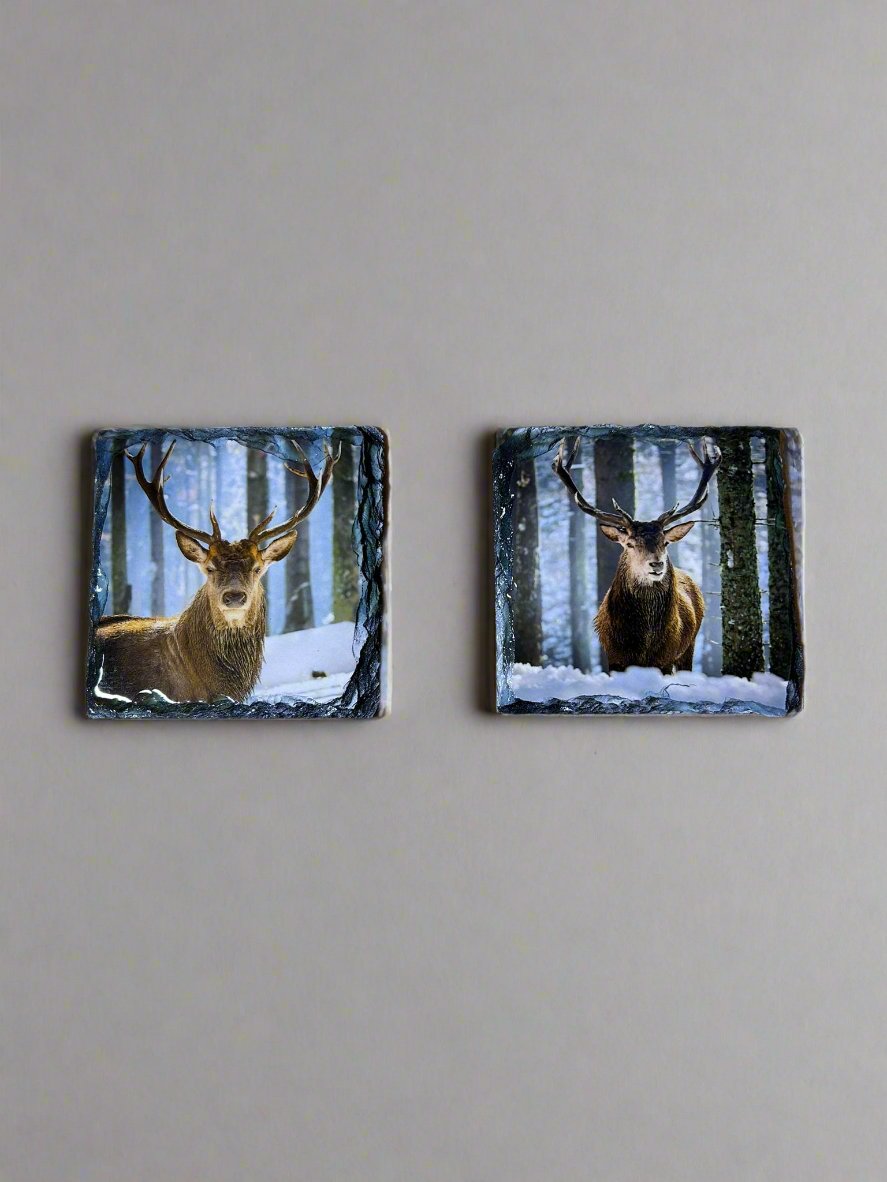 Scottish Stag Stone Slate Coaster Set. Highland Stag Images Printed on Natural Slate.