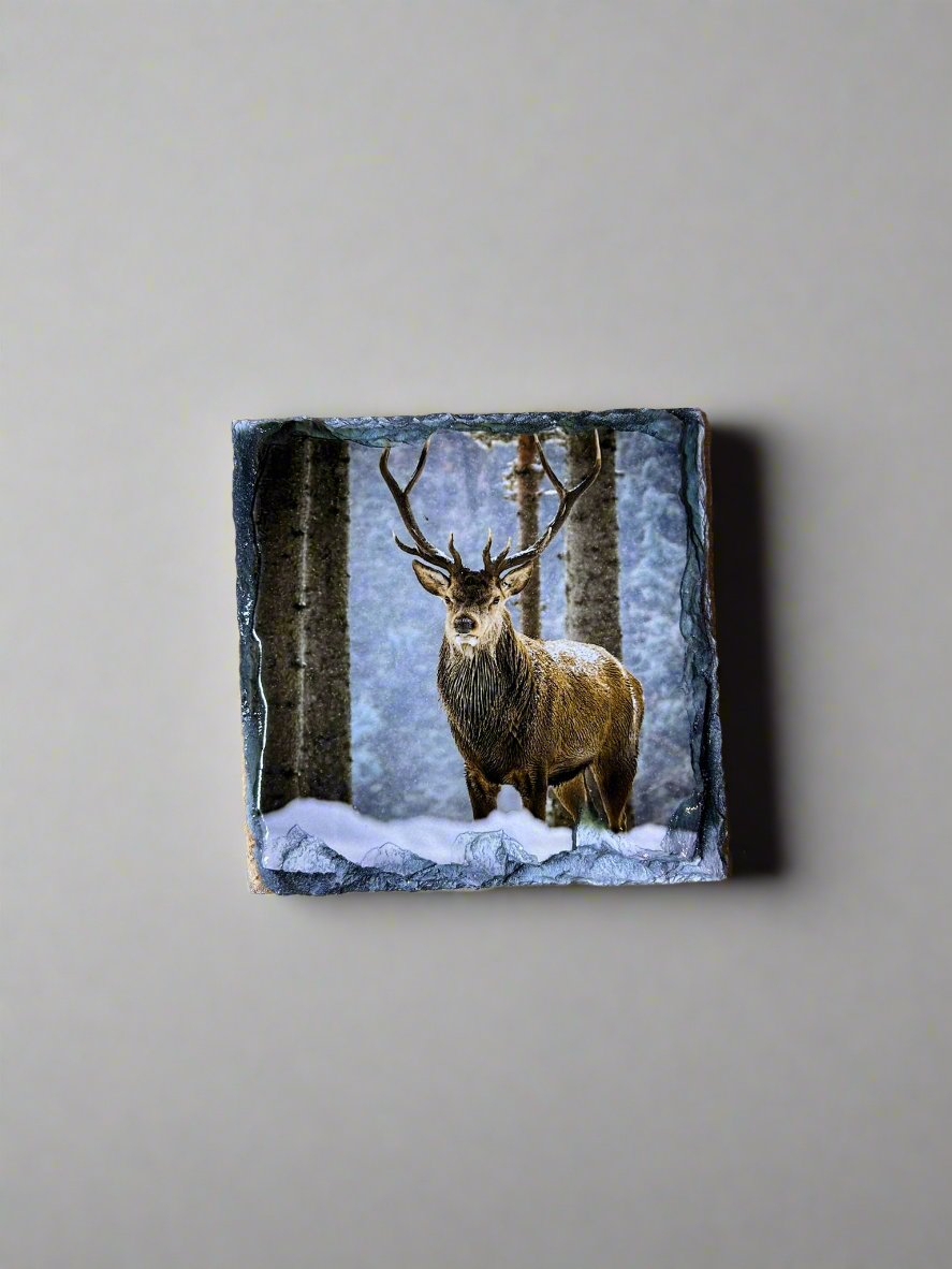 Scottish Stag Stone Slate Coaster Set. Highland Stag Images Printed on Natural Slate.