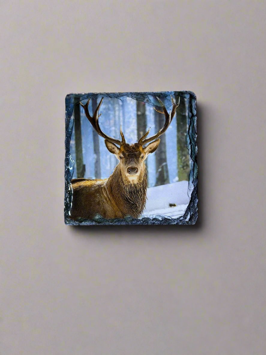 Scottish Stag Stone Slate Coaster Set. Highland Stag Images Printed on Natural Slate.