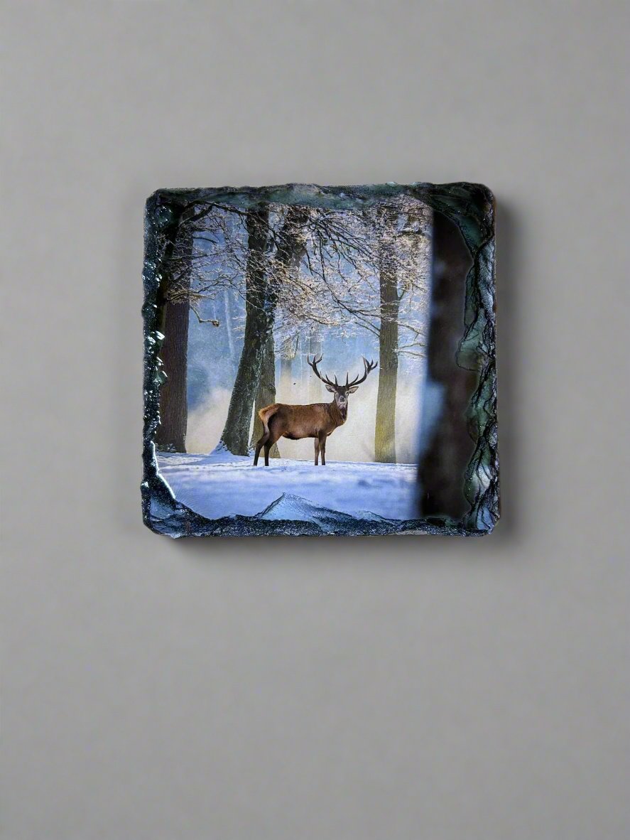 Scottish Stag Stone Slate Coaster Set. Highland Stag Images Printed on Natural Slate.