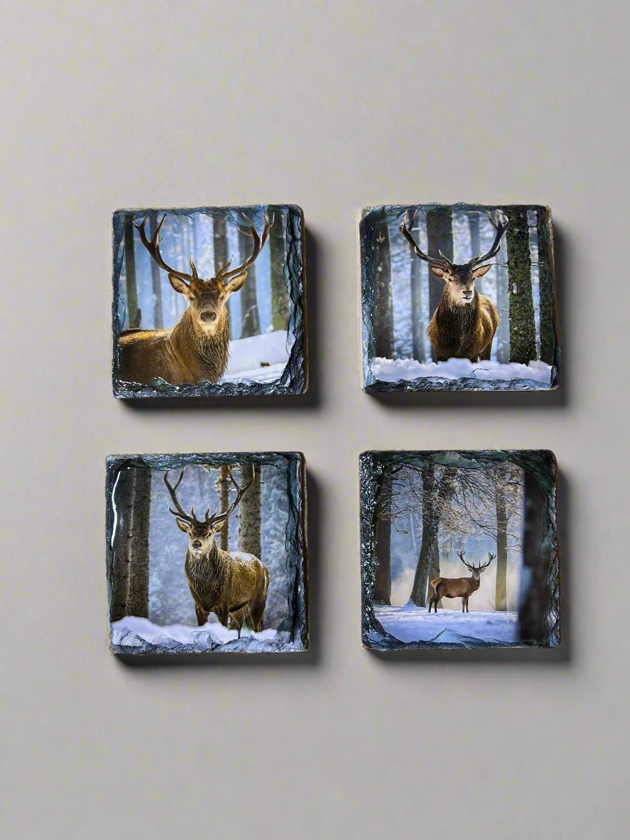 Scottish Stag Stone Slate Coaster Set. Highland Stag Images Printed on Natural Slate.