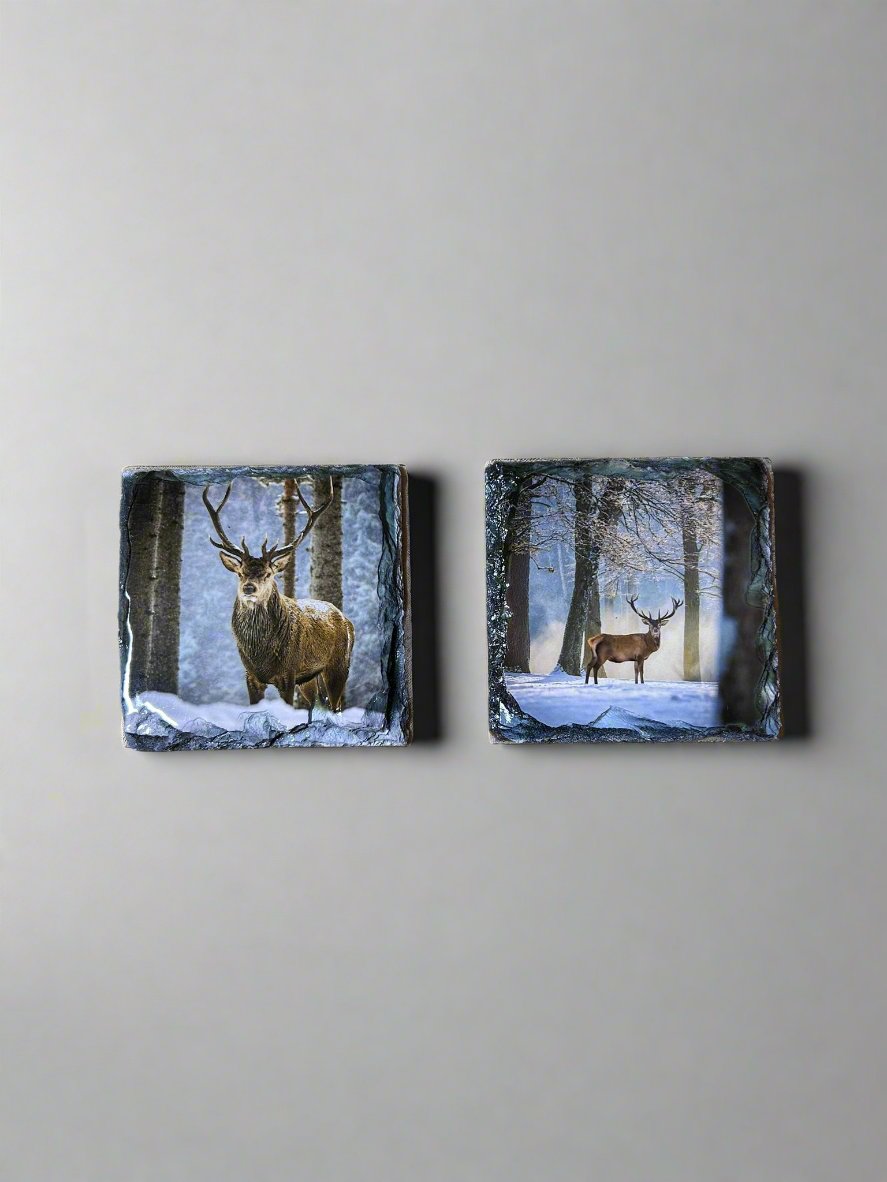 Scottish Stag Stone Slate Coaster Set. Highland Stag Images Printed on Natural Slate.