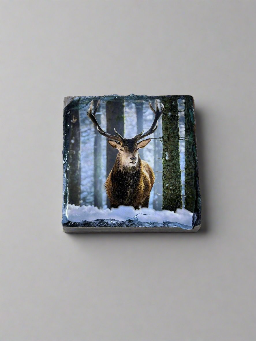 Scottish Stag Stone Slate Coaster Set. Highland Stag Images Printed on Natural Slate.