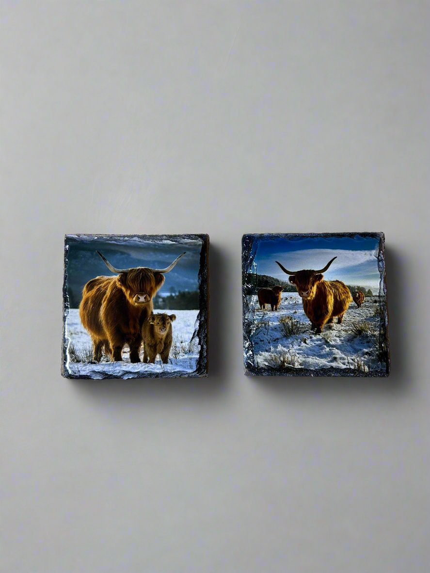 Scottish Highland Cow Stone Slate Coaster Set. Highland Cow Images Printed on Natural Slate.