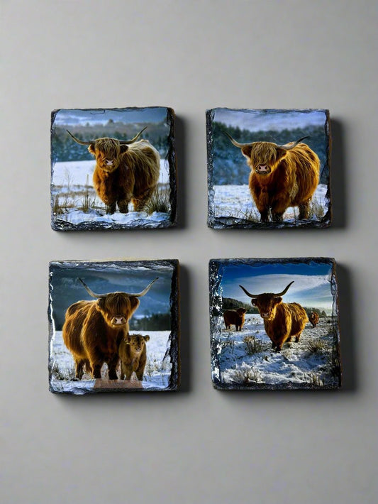 Scottish Highland Cow Stone Slate Coaster Set. Highland Cow Images Printed on Natural Slate.