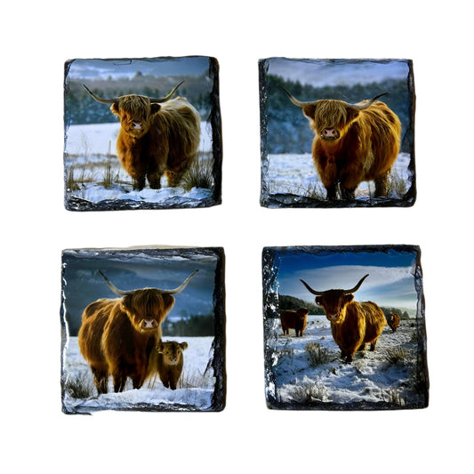 Highland Cows in Winter Scene Slate Coaster Set – Scottish Souvenir Gift