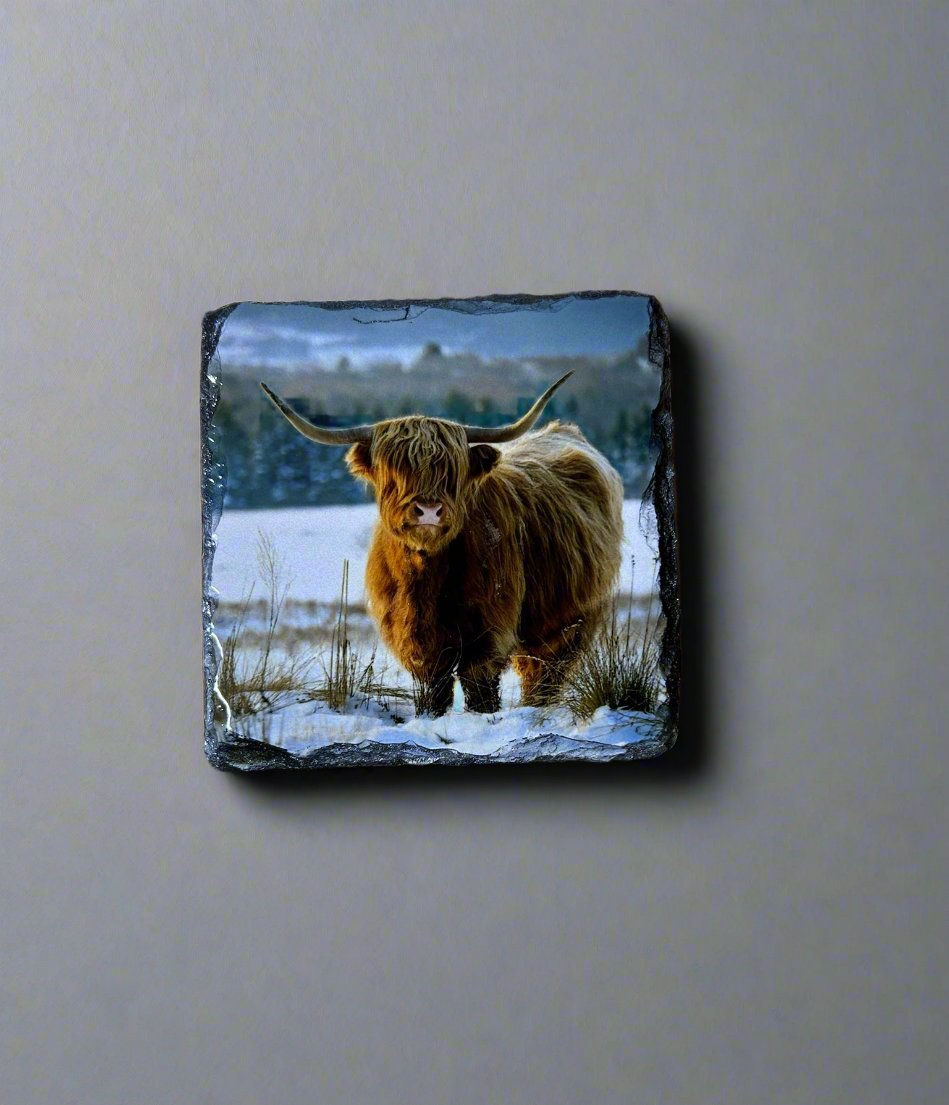 Scottish Highland Cow Stone Slate Coaster Set. Highland Cow Images Printed on Natural Slate.