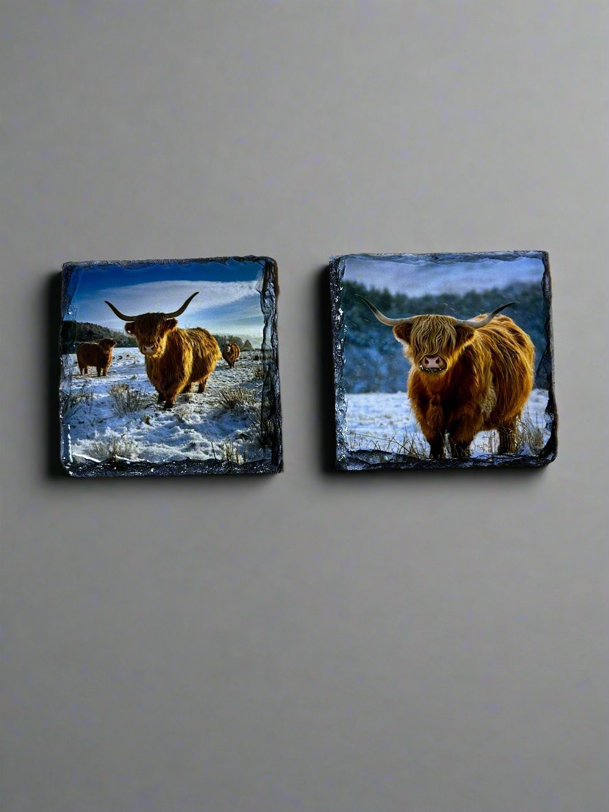 Scottish Highland Cow Stone Slate Coaster Set. Highland Cow Images Printed on Natural Slate.