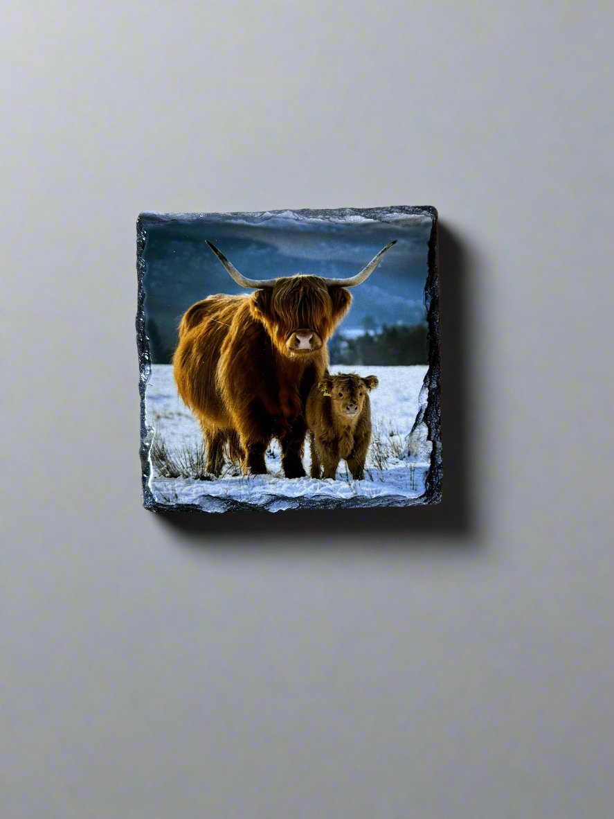 Scottish Highland Cow Stone Slate Coaster Set. Highland Cow Images Printed on Natural Slate.