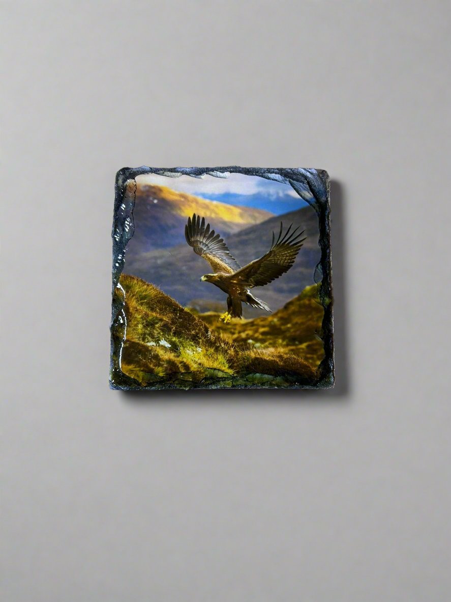 Scottish Animal Stone Slate Coaster Set. Beautiful and Vibrant Animal Images Printed on Natural Slate.