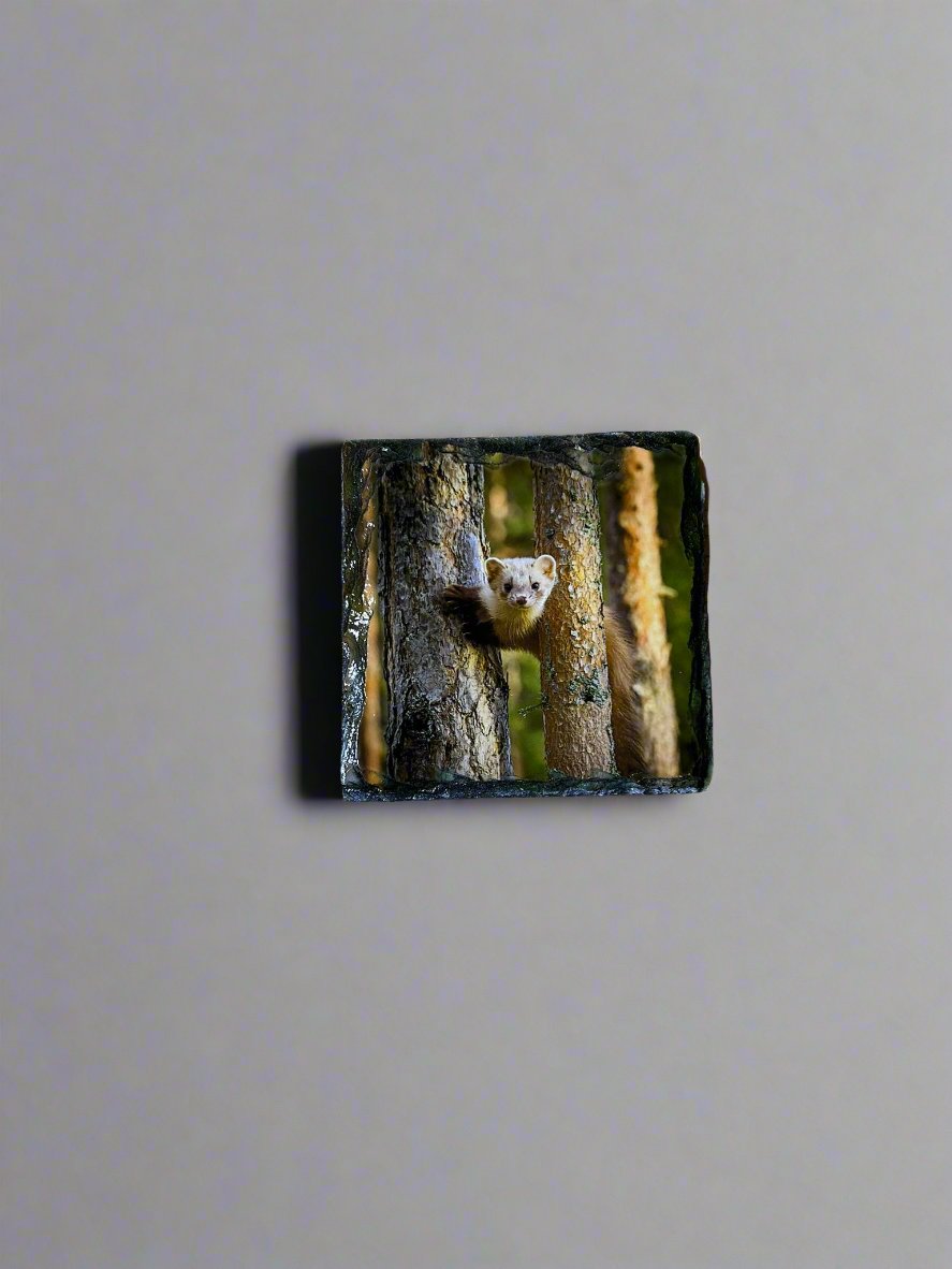 Scottish Animal Stone Slate Coaster Set. Beautiful and Vibrant Animal Images Printed on Natural Slate.