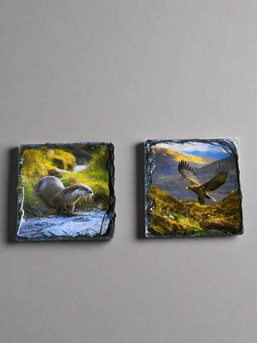 Scottish Animal Stone Slate Coaster Set. Beautiful and Vibrant Animal Images Printed on Natural Slate.