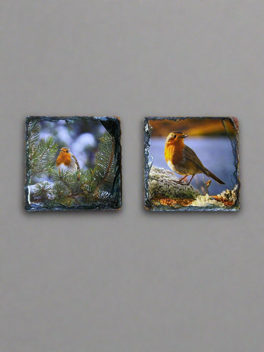 Highland Robins Stone Slate Coaster Set. Beautiful Robin Images Printed on Slate.