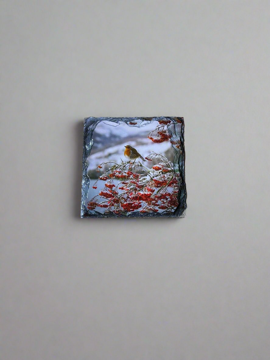 Highland Robins Stone Slate Coaster Set. Beautiful Robin Images Printed on Slate.