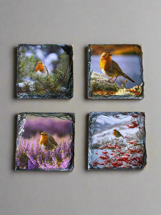 Highland Robins Stone Slate Coaster Set. Beautiful Robin Images Printed on Slate.