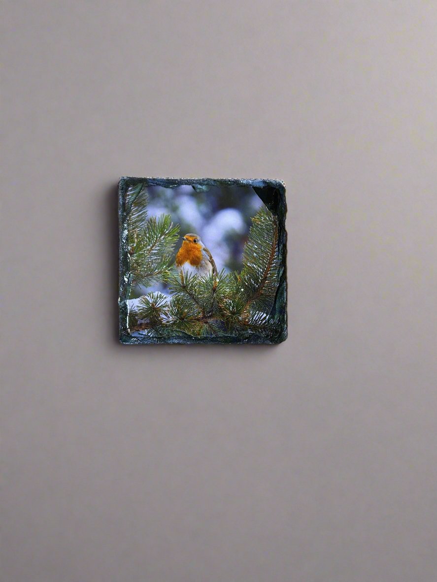 Highland Robins Stone Slate Coaster Set. Beautiful Robin Images Printed on Slate.