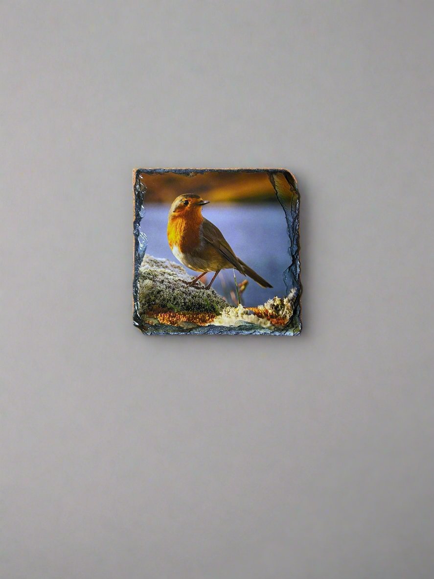 Highland Robins Stone Slate Coaster Set. Beautiful Robin Images Printed on Slate.