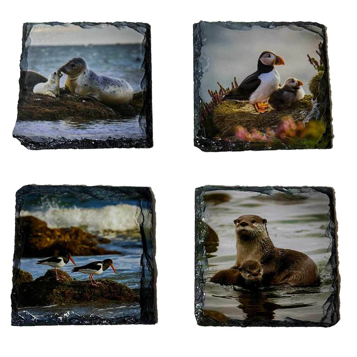 North Coast Wildlife Slate Coaster Set of 4 – Scottish Highlands Gift