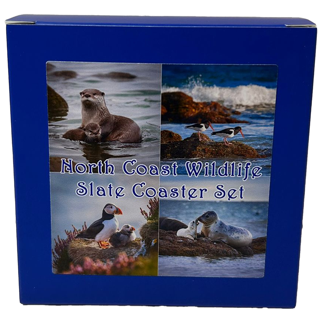 Slate Coasters of Oban – Stunning Drone Aerial Views From Oban in Scotland