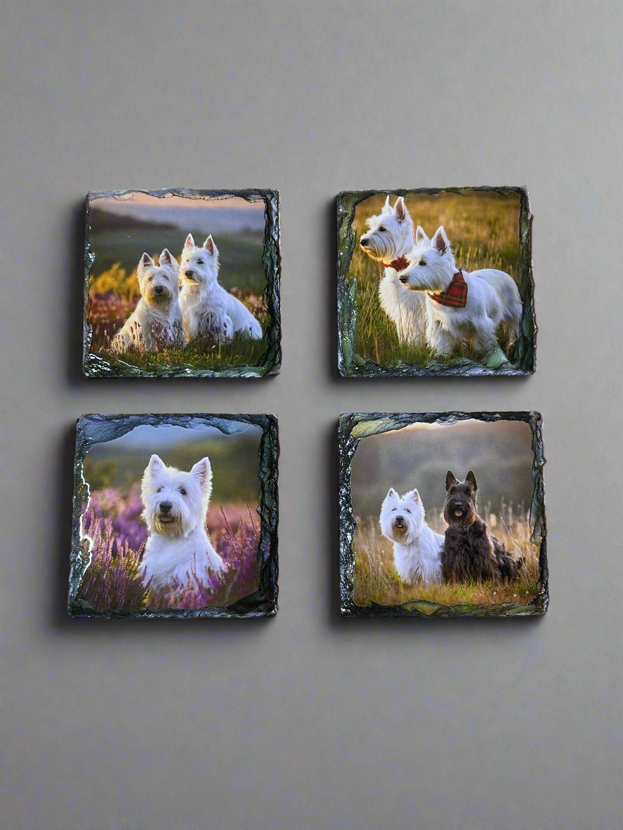 Scottie Dog Stone Slate Coaster Set. Scottie Dog Images Printed on Natural Slate.