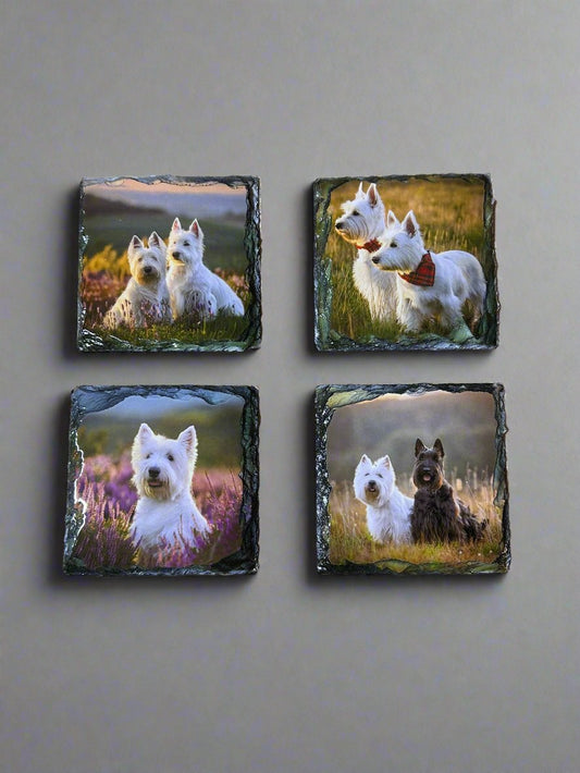 Scottie Dog Stone Slate Coaster Set. Scottie Dog Images Printed on Natural Slate.