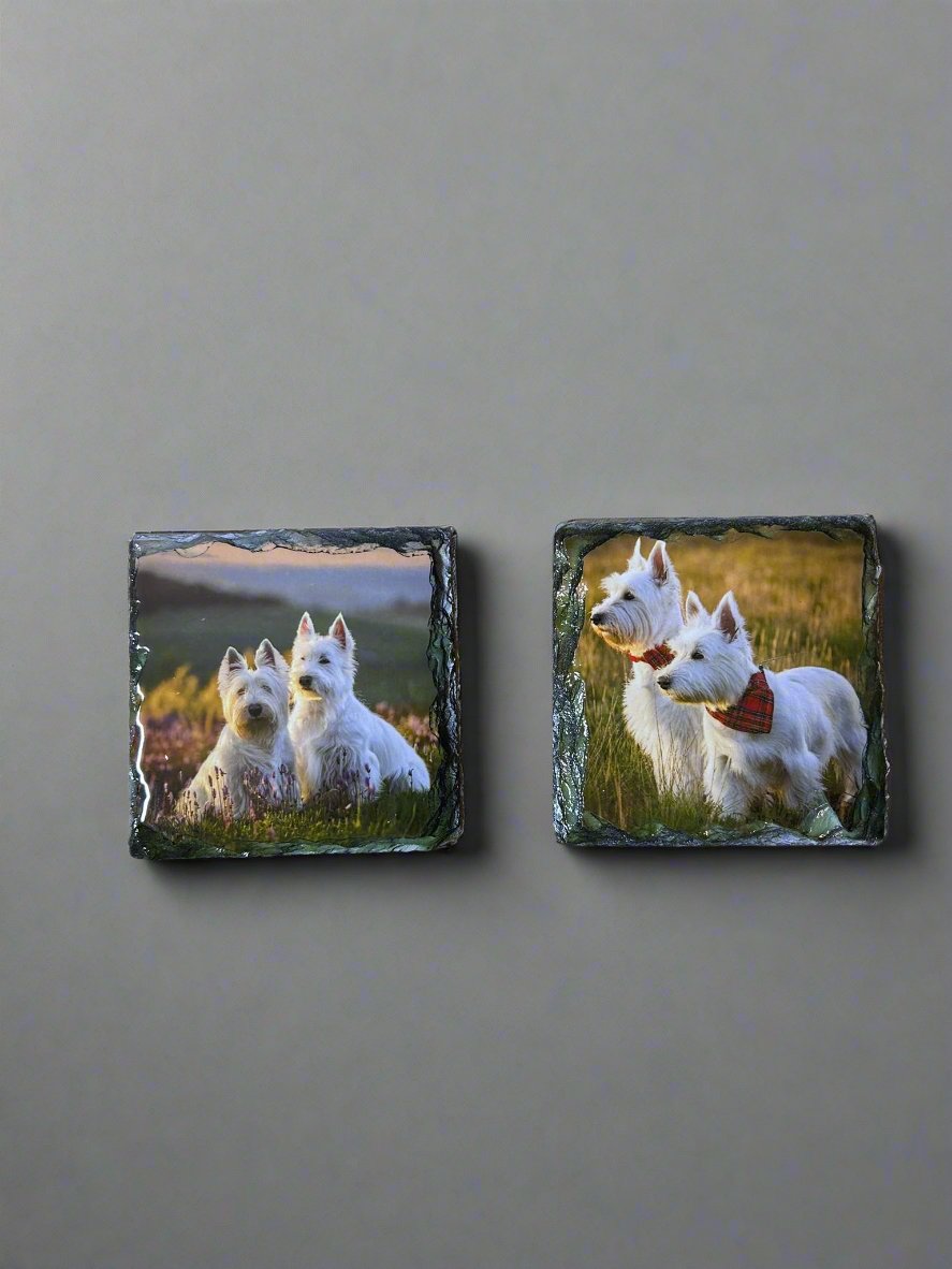 Scottie Dog Stone Slate Coaster Set. Scottie Dog Images Printed on Natural Slate.