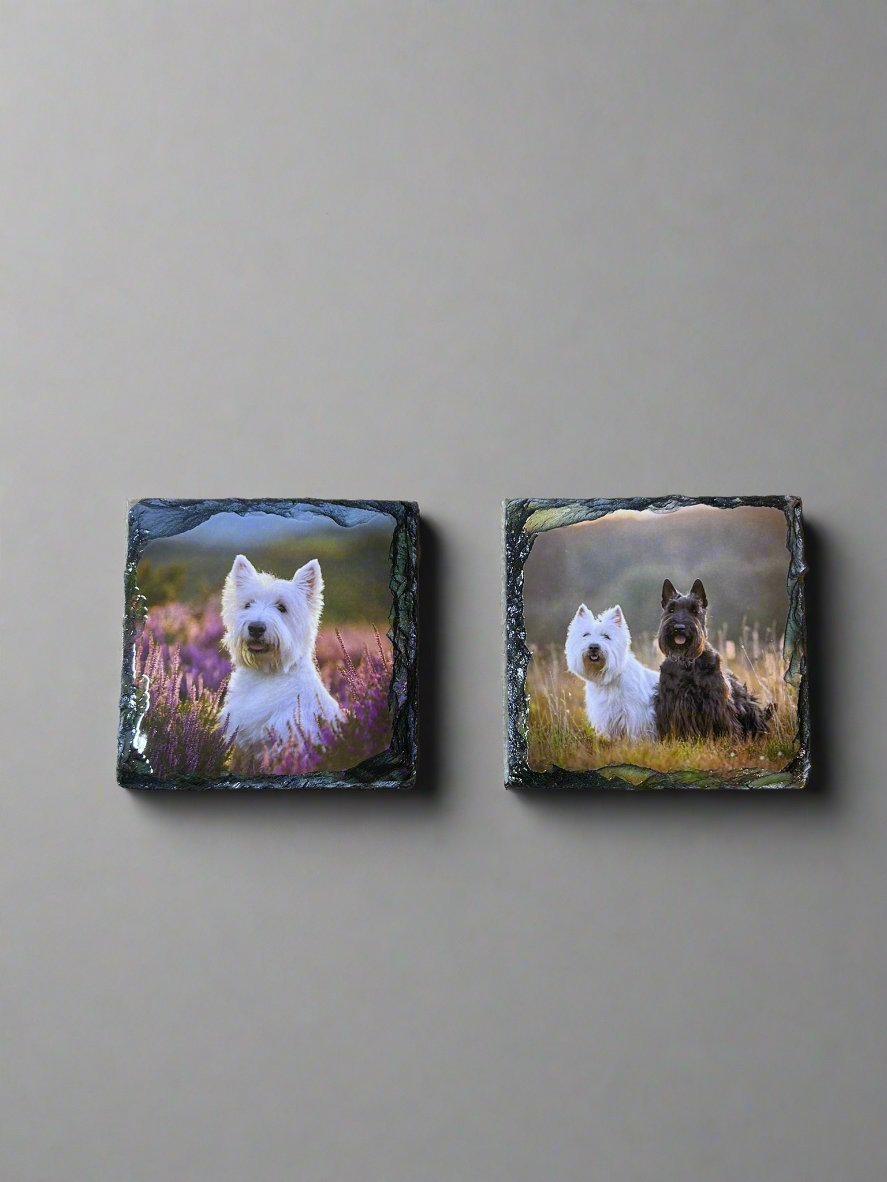 Scottie Dog Stone Slate Coaster Set. Scottie Dog Images Printed on Natural Slate.