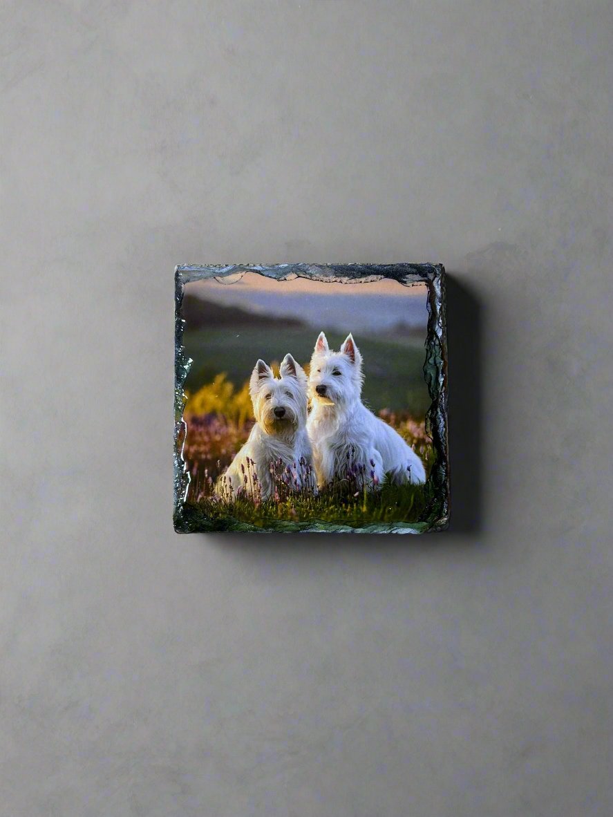 Scottie Dog Stone Slate Coaster Set. Scottie Dog Images Printed on Natural Slate.