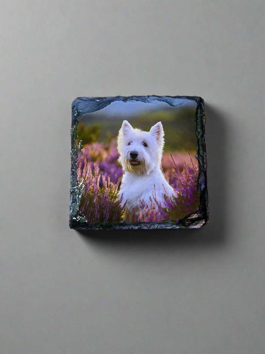 Scottie Dog Stone Slate Coaster Set. Scottie Dog Images Printed on Natural Slate.