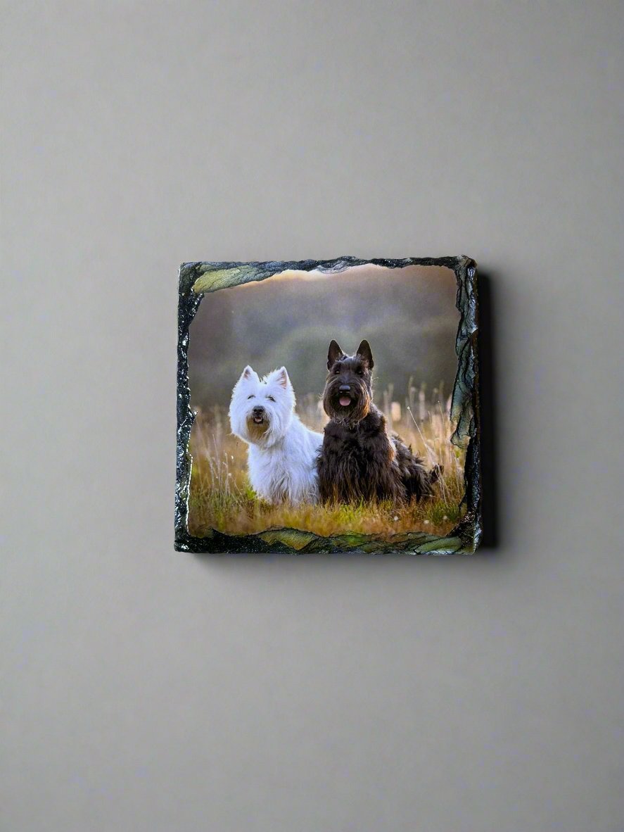 Scottie Dog Stone Slate Coaster Set. Scottie Dog Images Printed on Natural Slate.