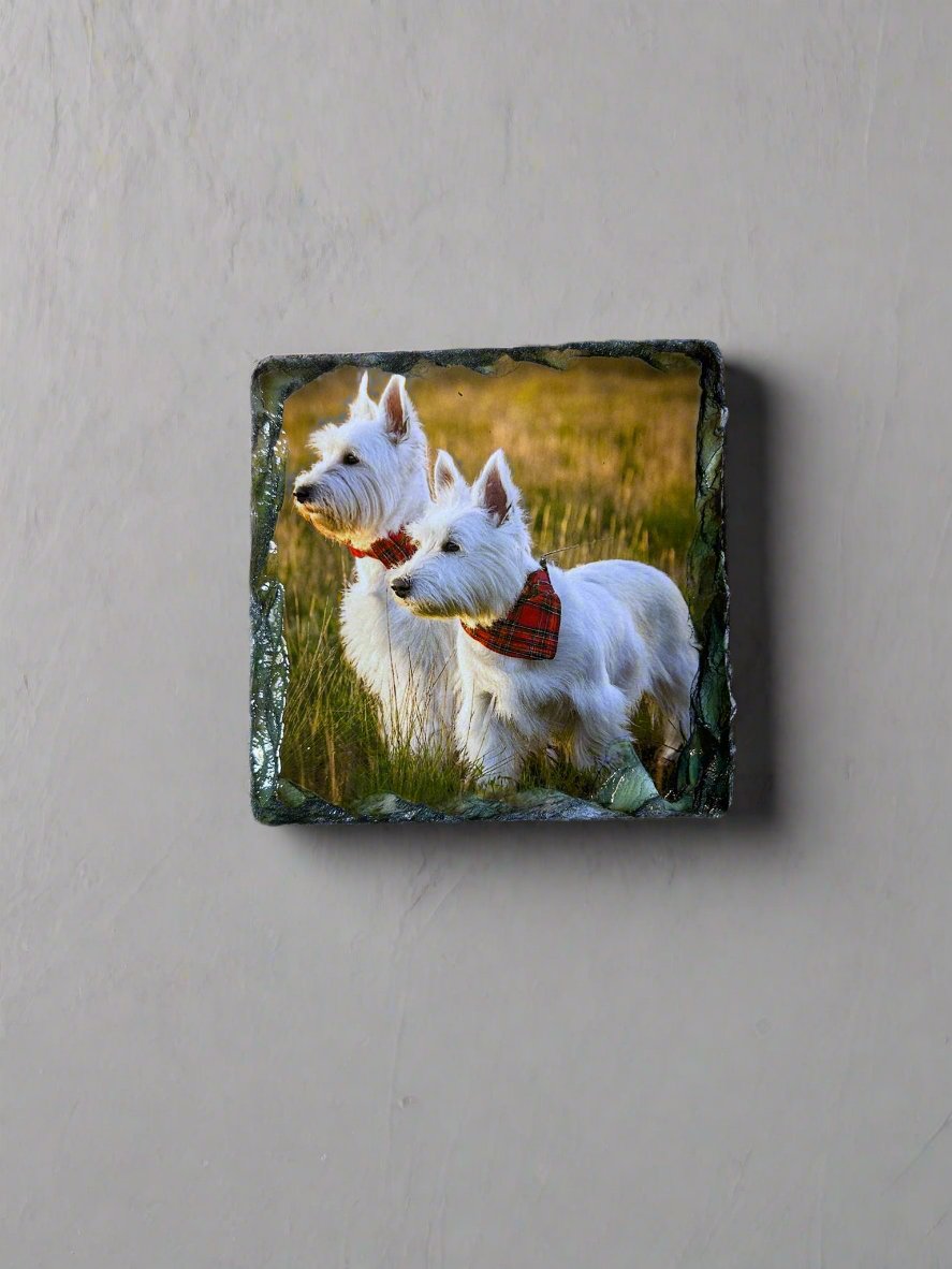 Scottie Dog Stone Slate Coaster Set. Scottie Dog Images Printed on Natural Slate.