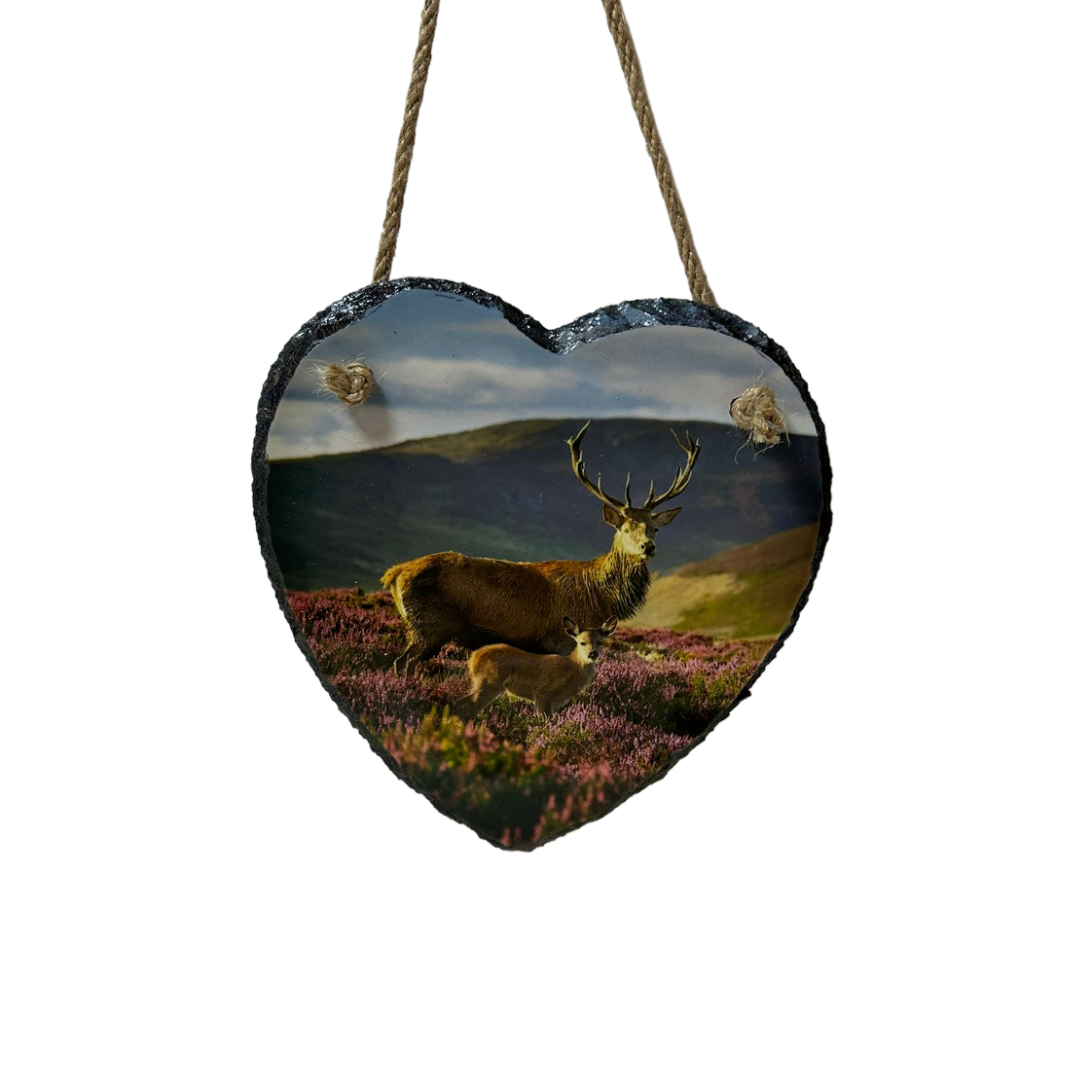 Highland Cow & Stag Hanging Slates Heart & Square Wall Art