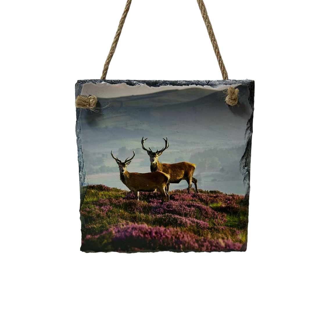 Highland Cow & Stag Hanging Slates Heart & Square Wall Art