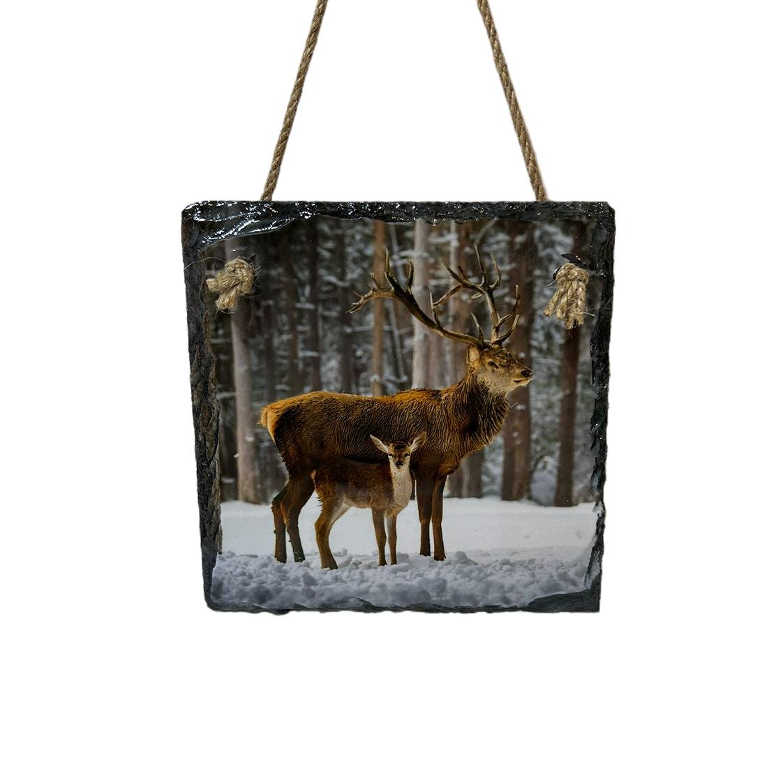 Highland Cow & Stag Hanging Slates Heart & Square Wall Art