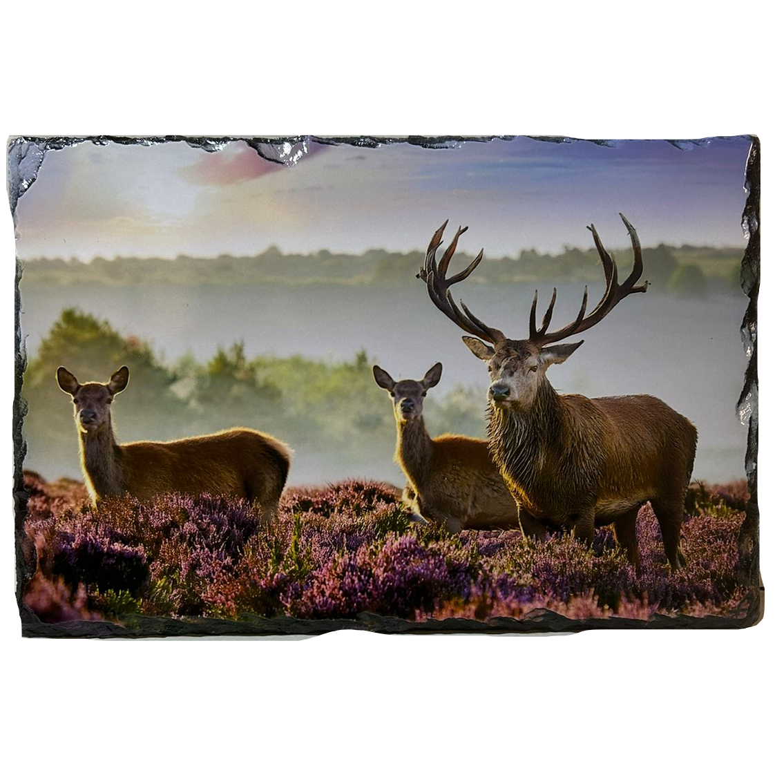 Slate Tablemat Highland Cow & Stag Individual Table Placemat – Scottish Heather & Winter Designs