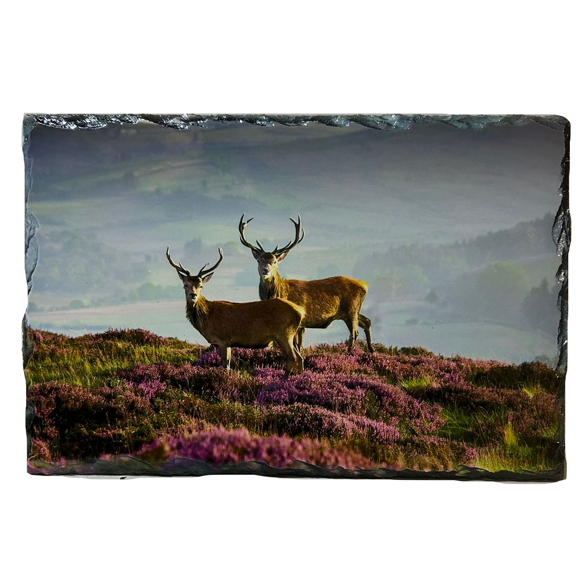 Slate Tablemat Highland Cow & Stag Individual Table Placemat – Scottish Heather & Winter Designs