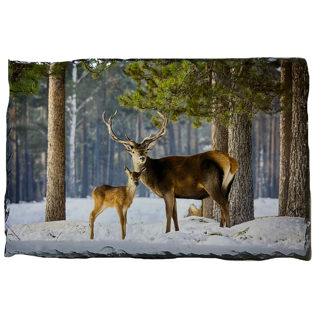 Slate Tablemat Highland Cow & Stag Individual Table Placemat – Scottish Heather & Winter Designs