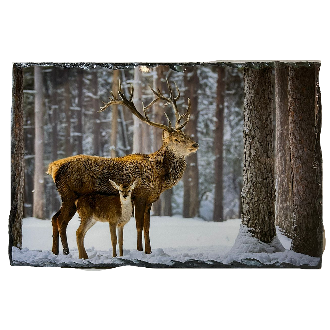 Slate Tablemat Highland Cow & Stag Individual Table Placemat – Scottish Heather & Winter Designs