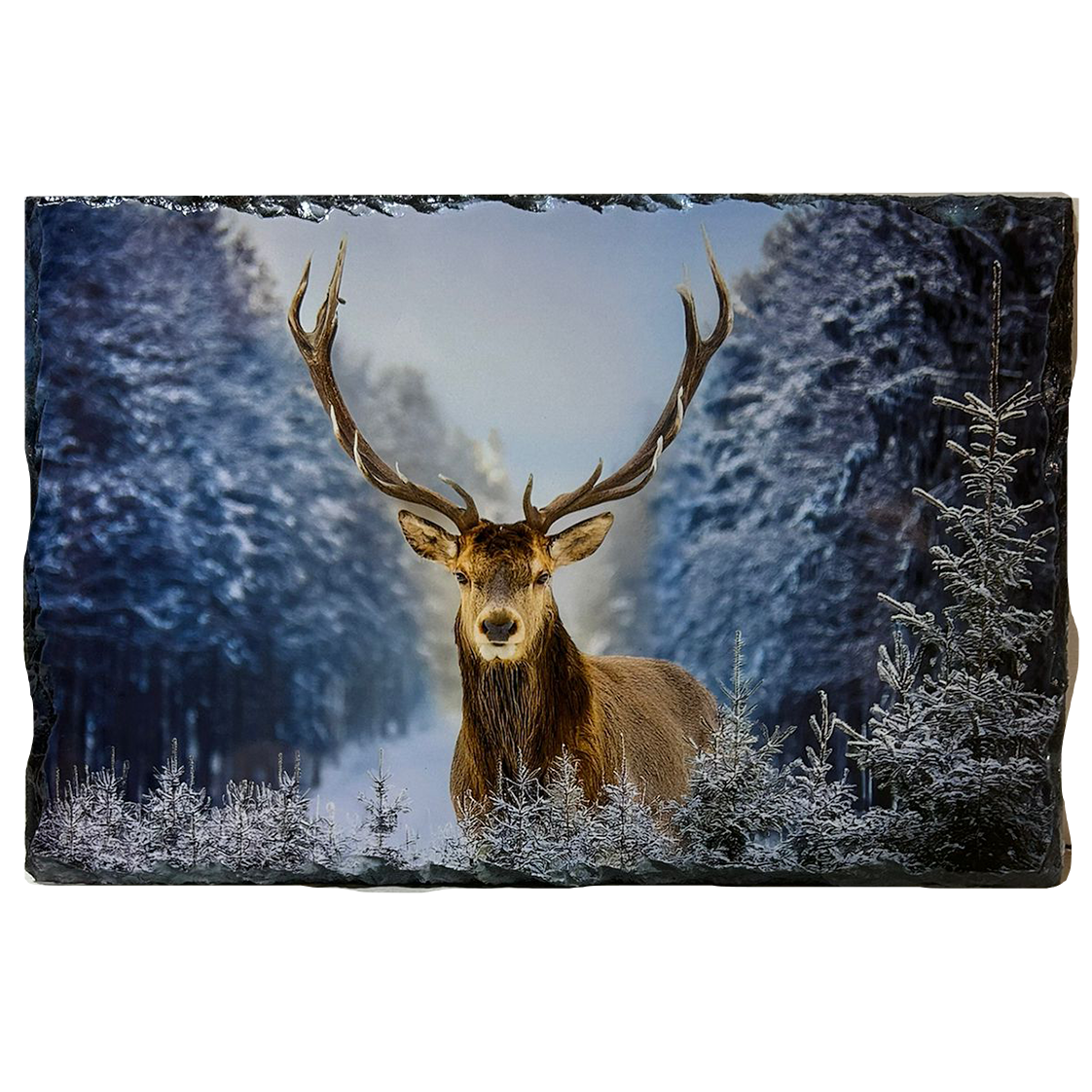 Slate Tablemat Highland Cow & Stag Individual Table Placemat – Scottish Heather & Winter Designs