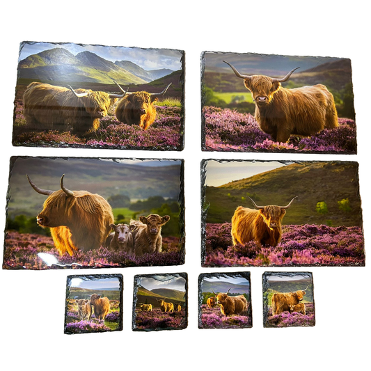 Highland Cow in Heather Slate Tableware Set – Handcrafted Scottish Dining Decor
