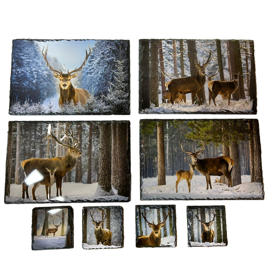 Stag in Winter Scene Slate Tableware Set – Rustic Scottish Dining Decor