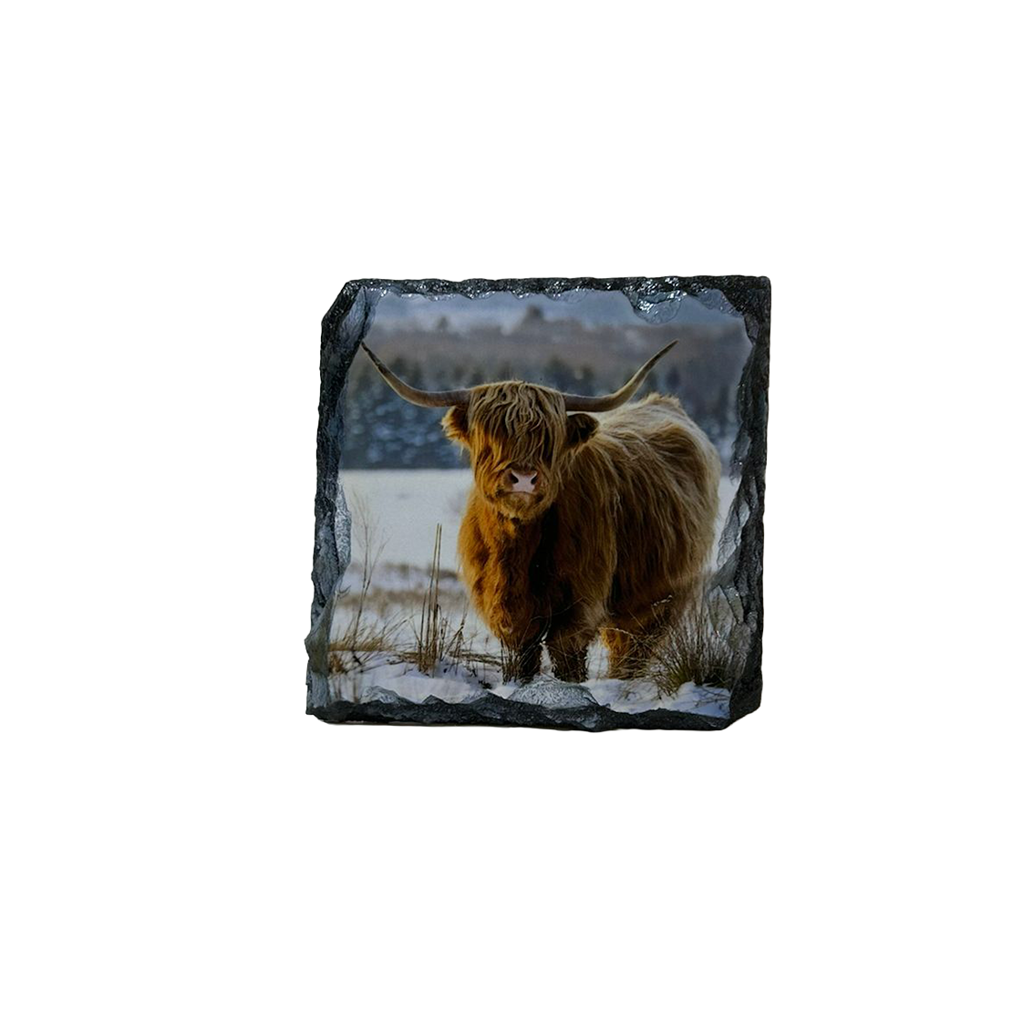 Highland Cow Slate Tableware Set – Handcrafted Scottish Home & Dining Decor