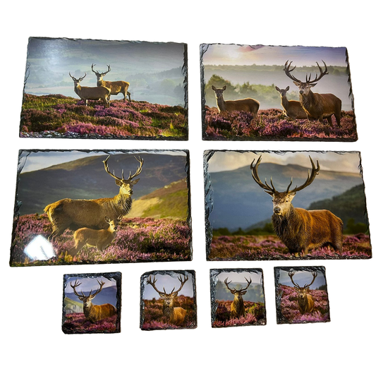 Stags In Heather Slate Tableware Set – Handcrafted Scottish Dining Decor