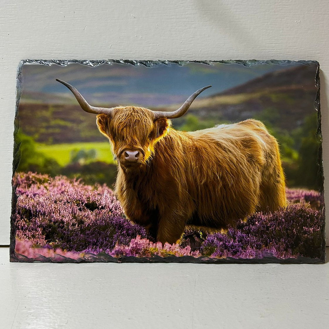 Highland Cow in Heather Slate Tableware Set – Handcrafted Scottish Dining Decor