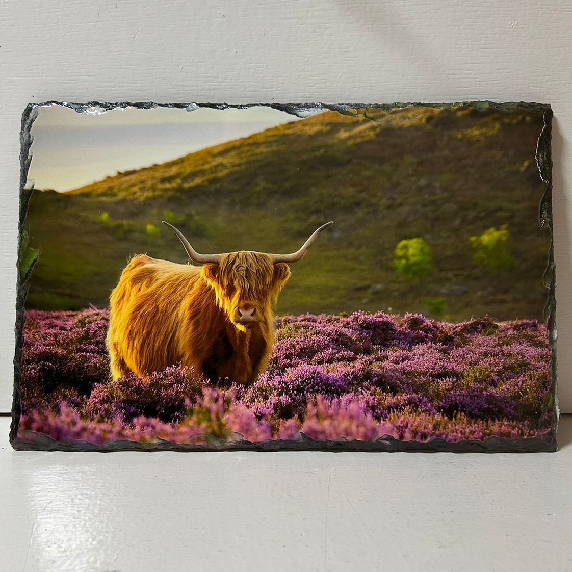 Highland Cow in Heather Slate Tableware Set – Handcrafted Scottish Dining Decor