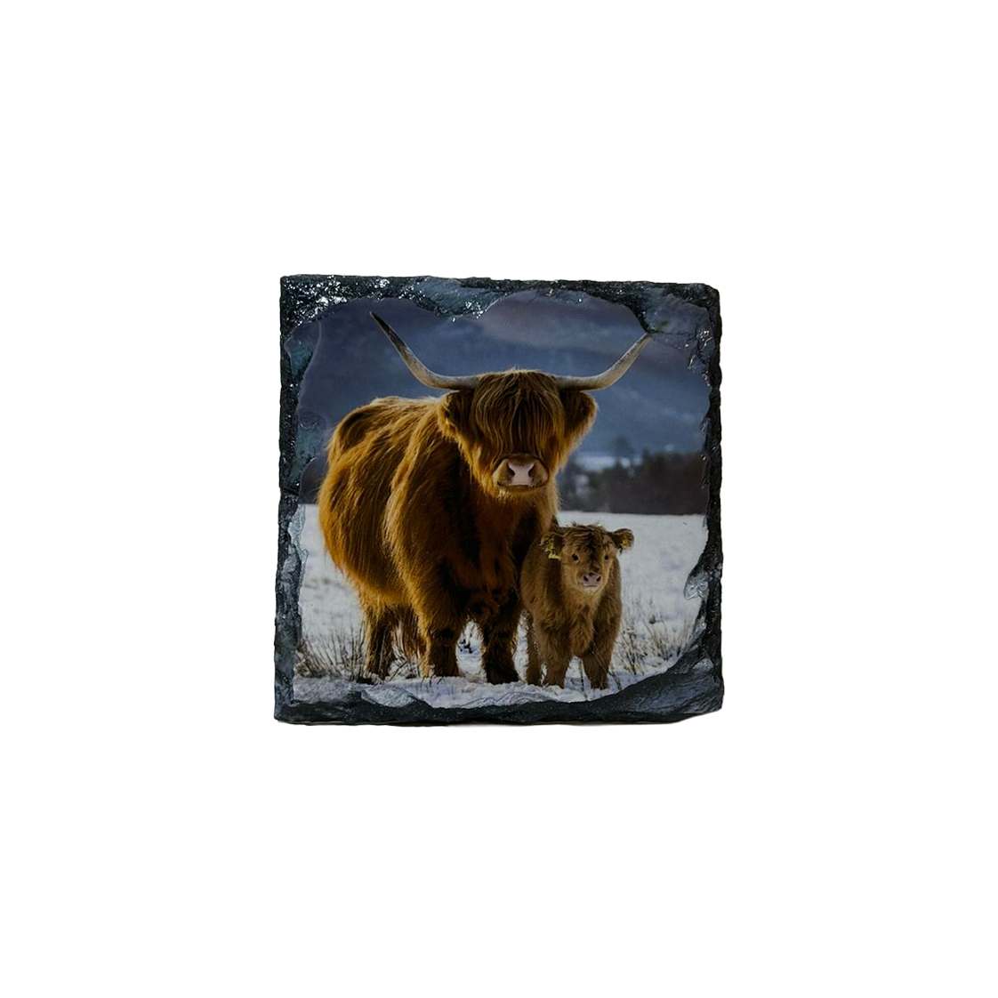 Highland Cow Slate Tableware Set – Handcrafted Scottish Home & Dining Decor